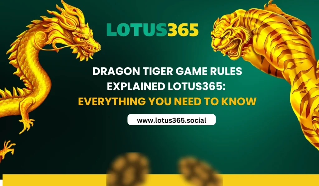 Dragon Tiger Game Rules Explained Lotus365 Everything You Need to Know