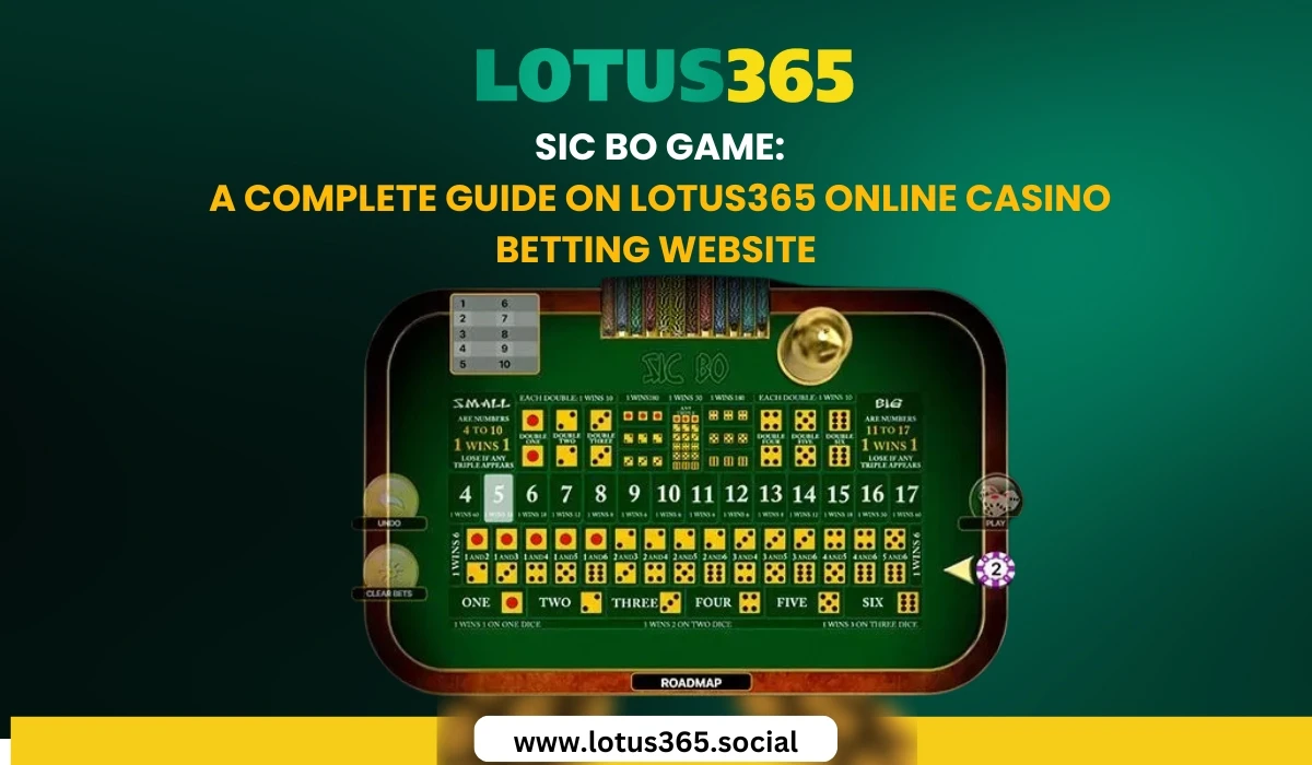 Read more about the article Sic Bo Game: A Complete Guide on Lotus365 Online Casino Betting Website