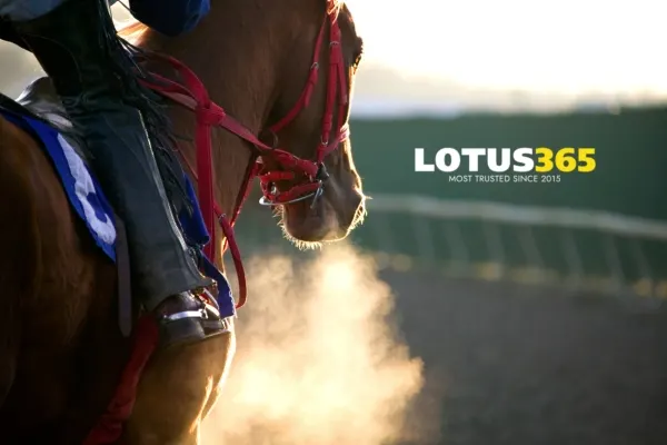 Lotus365 Horse Racing Betting_
