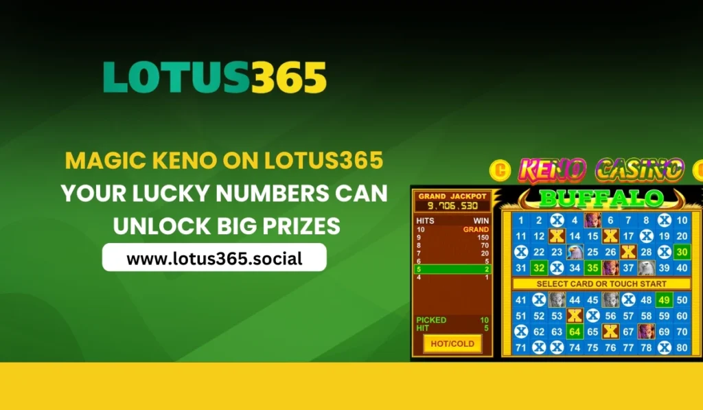 Magic Keno on Lotus365 – Your Lucky Numbers Can Unlock Big Prizes